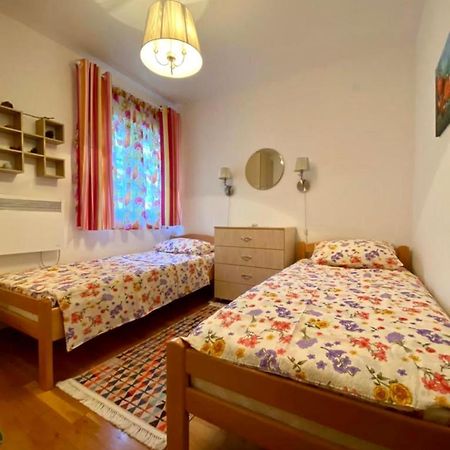 Apartment Liza Petrovac ภายนอก รูปภาพ