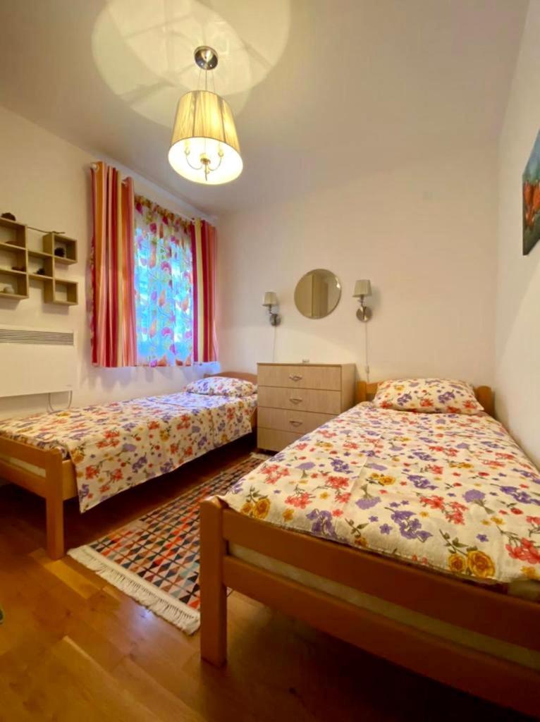 Apartment Liza Petrovac ภายนอก รูปภาพ