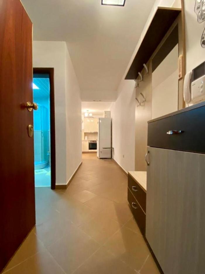 Apartment Liza Petrovac ภายนอก รูปภาพ