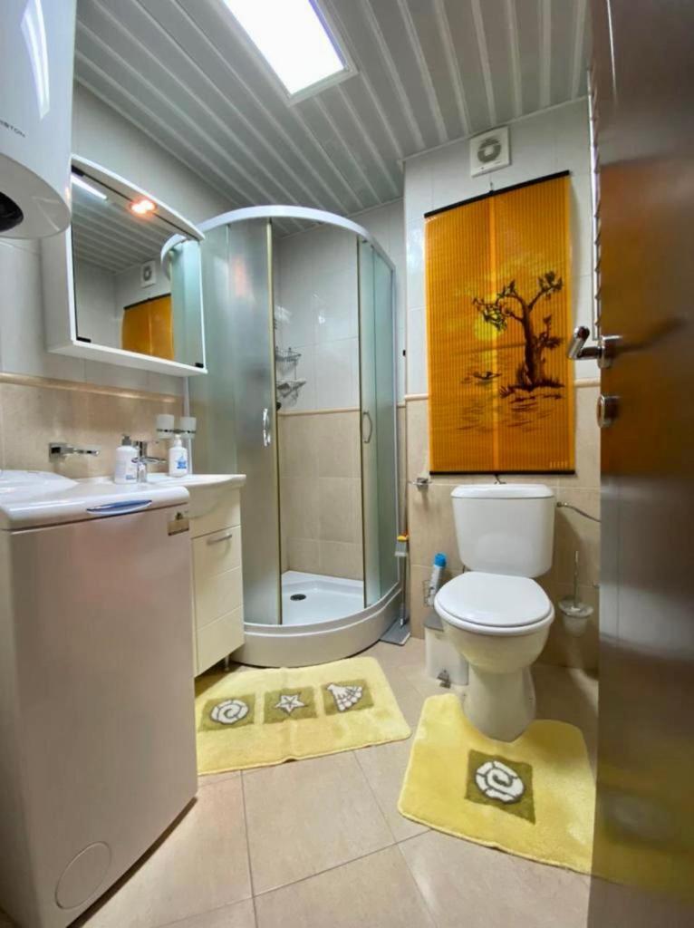 Apartment Liza Petrovac ภายนอก รูปภาพ