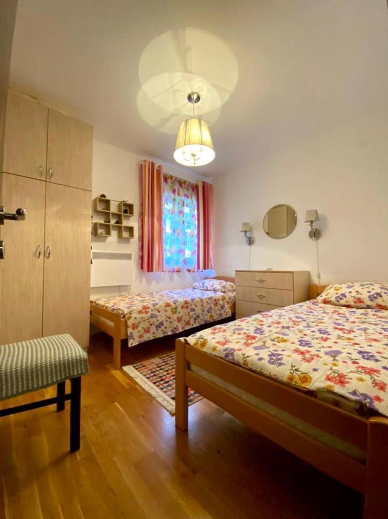 Apartment Liza Petrovac ภายนอก รูปภาพ